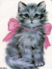 Cute Kitten Pink Bow