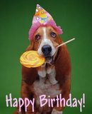 Happy Birthday ! Dog Lollipop