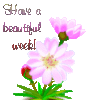 Have A Beautiful Week!