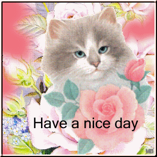 Have a Nice Day -- Cat and Flowers