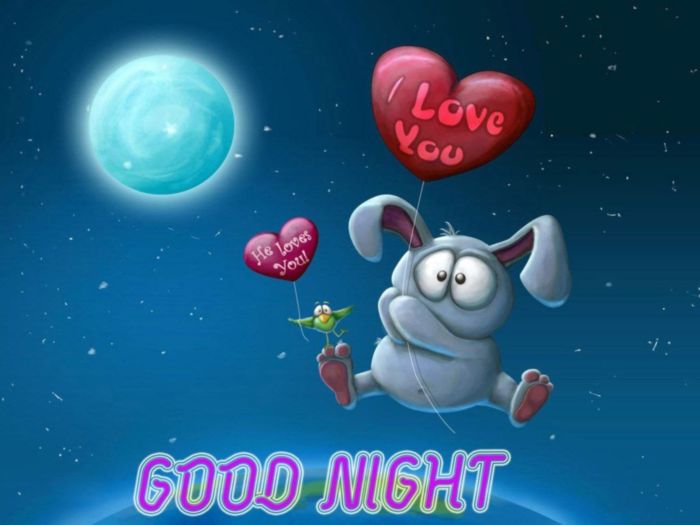 Good Night I love you