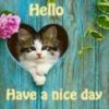 Hello Have a Nice Day