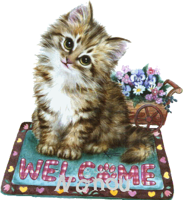 Welcome -- Cute Kitten