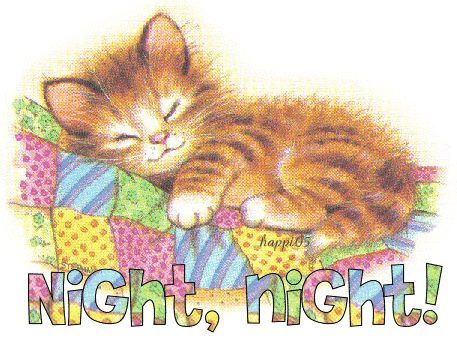 Night, Night! -- Cute Kitten