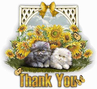 Thank You -- Cute Kittens