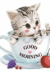 Good Morning -- Cute Kitten in a Cup