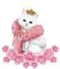 Kitty Queen