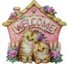 Welcome -- Cute Kittens