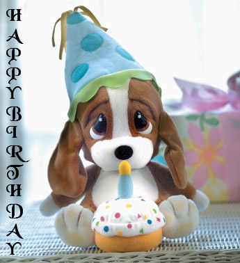 Happy Birthday Dog Hat