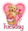 Tuesday Love