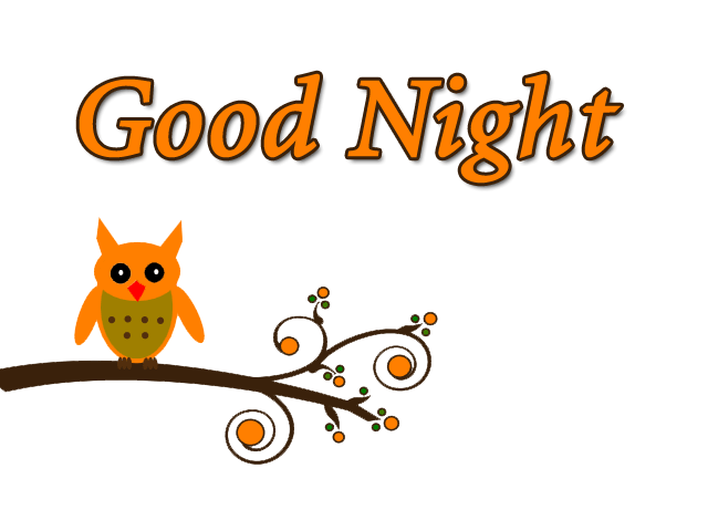 Good Night -- Owl