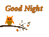 Good Night -- Owl