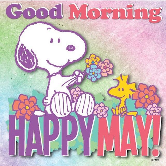 Good Morning! Happy May!