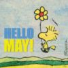 Hello May!