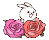 Cute Bunny and Flowers
