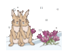 Bunnies and Flowers