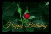 Happy Birthday Red Roses