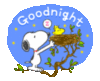 Goodnight - Snoopy
