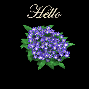 Hello Flowers