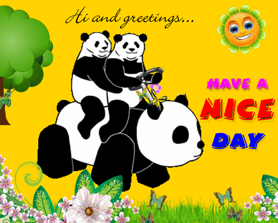 Hi and greetings... Have a Nice Day - Pandas
