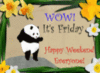 WOW! It's Friday! Happy Weekend everyone! - Panda Bear Dance
