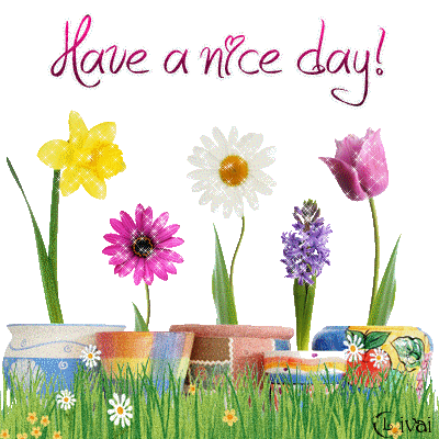 Have a Nice Day! - Flowers