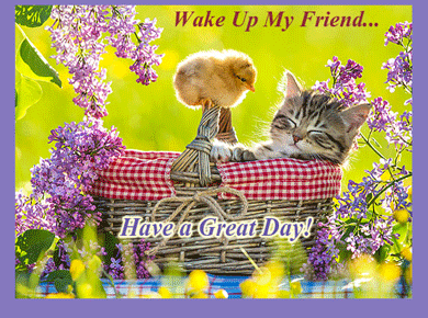 Wake Up My Friend... Have A Great Day!
