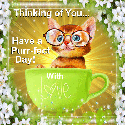 Thinking of You... Have a Purr-fect Day! With Love