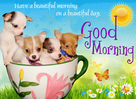 Good Morning. Have a beautiful morning on a beautiful day. - Cute Puppies
