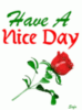 Have a Nice Day - Red Rose