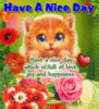 Have a Nice Day - Cute Kitten