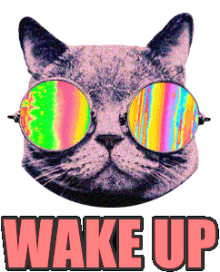 Wake Up - Sunglasses Cat Head