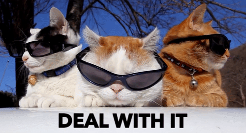 Deal With It - Sunglasses Cats