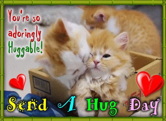 Send A Hug Day