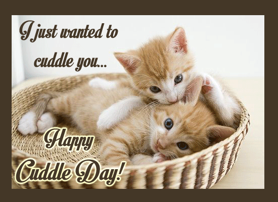 I just wanted to cuddle you... Happy Cuddle Day!