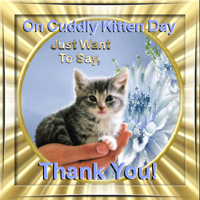 On Cuddly Kitten Day Just Want To Say, Thank You!