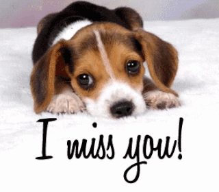 I miss you! - Cute Puppy