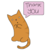 Thank You - Cat