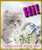 Hi! Hope you're doing well - Cute Kitten