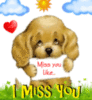 Miss You like Crazy -- Cute Puppy
