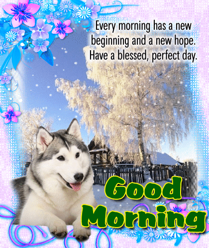 Good Morning. Every morning has a new beginning and a new hope. Have a blessed, perfect day.