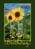 Happy Birthday! - Sunflowers 