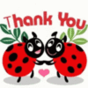 Thank You - Ladybug