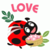 Love - Ladybug