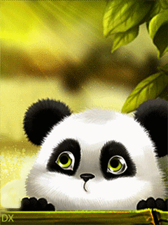 Cute Little Panda