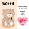 Sorry I didn't mean to hurt you! Forgive me Please