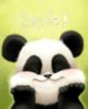 Smile! Panda