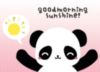 Googmorning Sunshine! - Panda