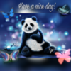 Have a Nice Day! Panda