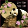 Good Night Sleep Tight See You in the Morning Lights! - Panda